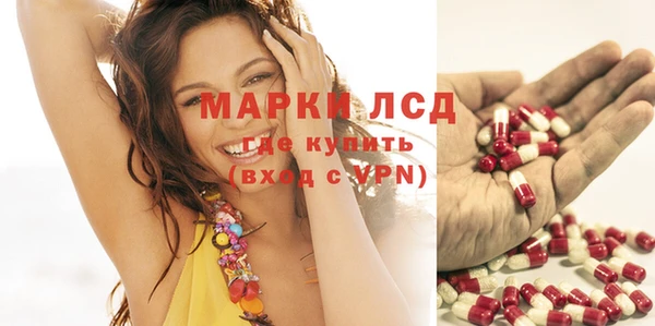 гидропоника Ельня