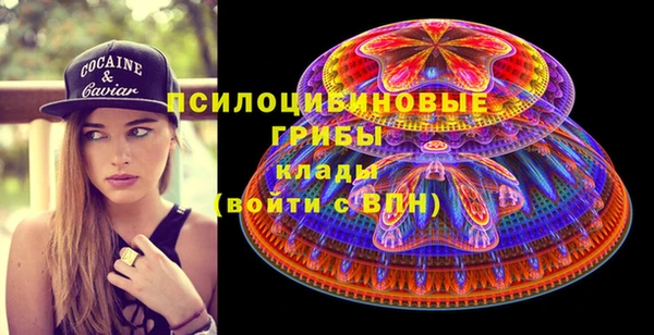 мдпв Верхний Тагил