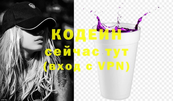 мдпв Верхний Тагил