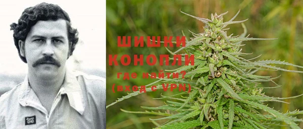 мдпв Верхний Тагил