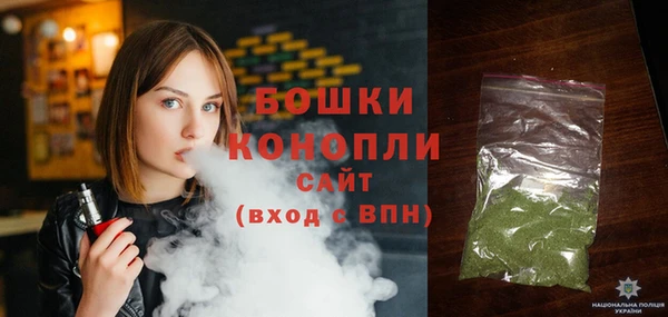 мдпв Верхний Тагил